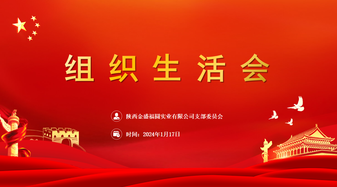 主题教育专题组织生活会